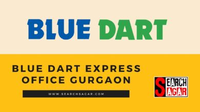 Photo of Blue Dart Express Delhi Address, Phone no., Email ID