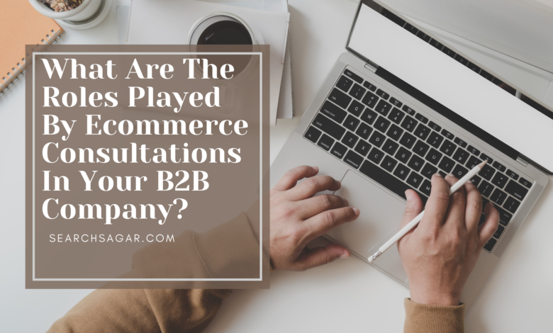 What Are The Roles Played By Ecommerce Consultations In Your B2B Company