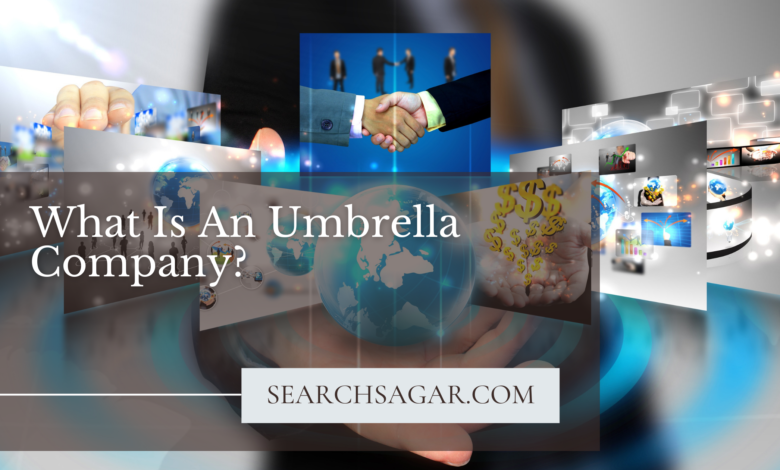 What Is An Umbrella Company