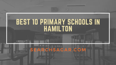 Photo of Best 10 Primary Schools in Hamilton