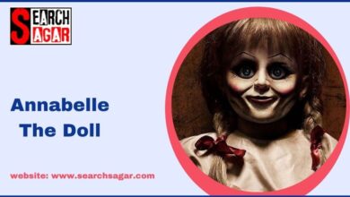 Photo of Annabelle Doll Phone Number, Email, House Address, Contact Information, Biography, and More Profile Details
